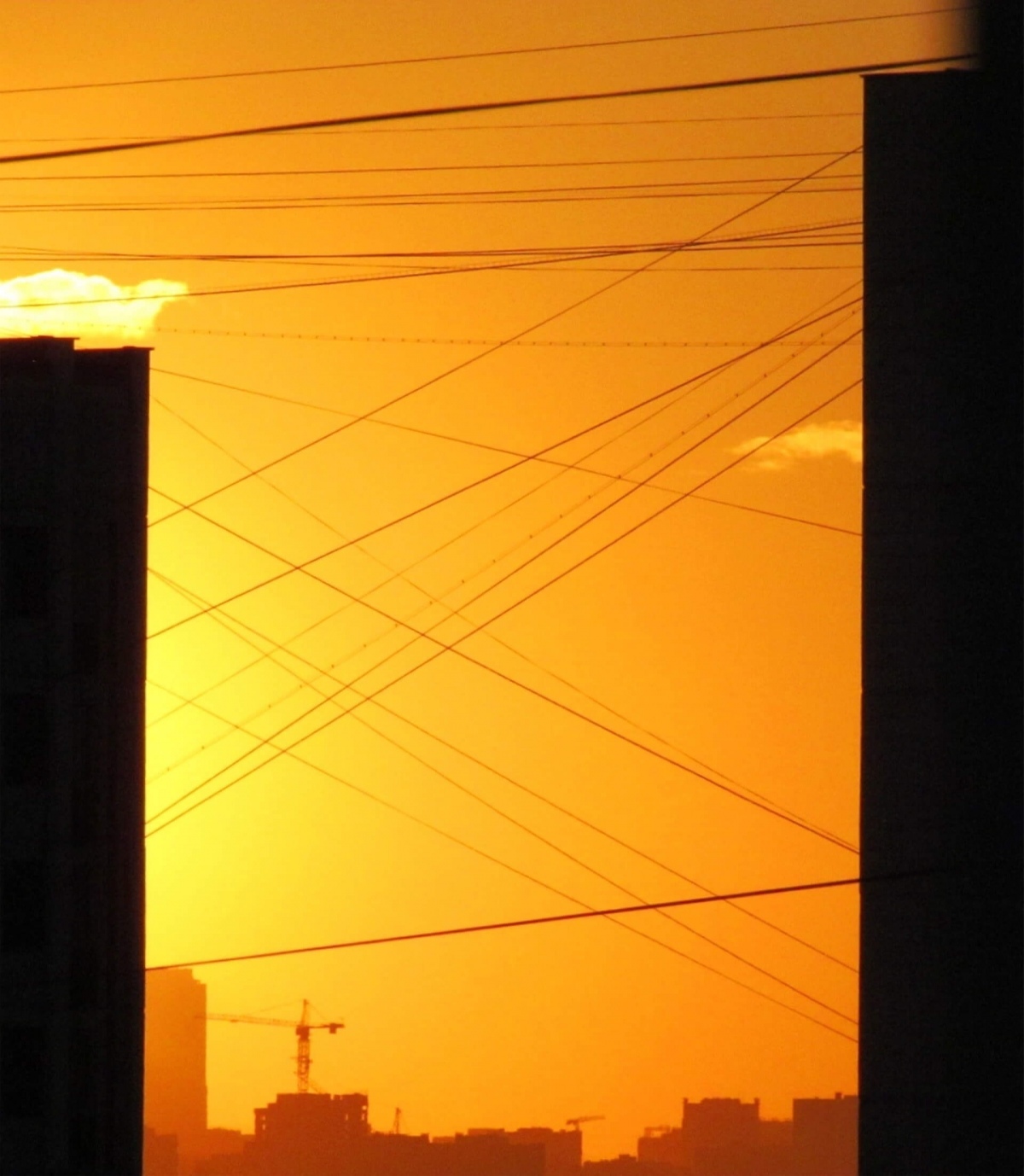 Организация по проектной деятельности в Казахстане фото